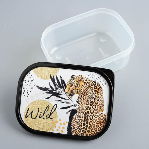 Цена за 2 шт. Ланч - бокс прямоугольный Wild, 500 мл