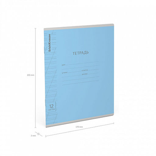 Цена за 280 шт. Тетрадь школьная ученическая ErichKrause Классика Visio ассорти, 12 листов, частая косая линейка (в плёнке по 10 шт.) фото 43