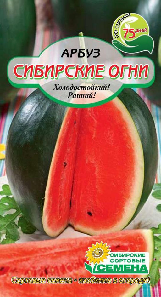 Сибирские огни арбуз 10шт (ссс) Р