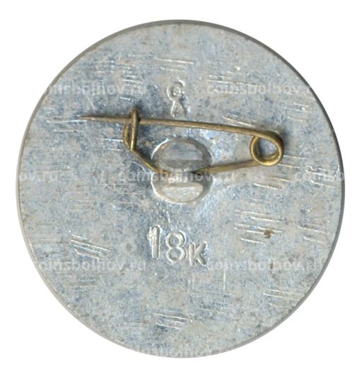 Значок Ленинград  Аничков мост