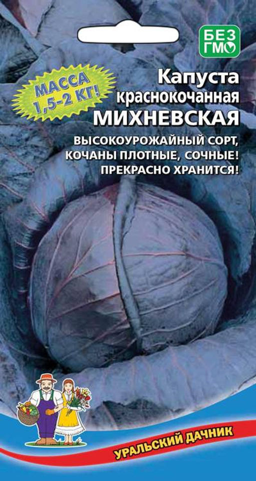 Капуста краснокочанная МИХНЕВСКАЯ  Высокая урожайность! Кочаны плотные, сочные, 2 кг! Хорошо хранится! - Уральский дачник фото 3
