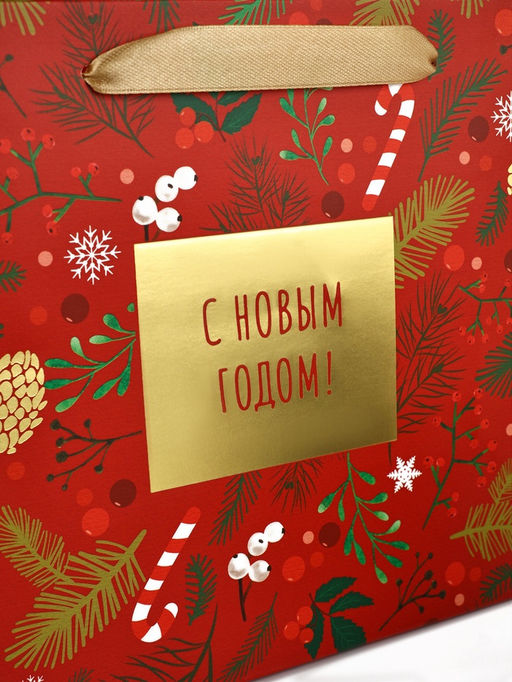 Цена за 2 шт. Пакет подарочный новогодний ламинированный «С Новым годом», MS 23×18×10 см