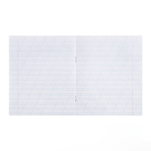 Цена за 200 шт. Тетрадь 12 листов в косую линейку «Зелёная обложка», плотность обложки 80 г/м²