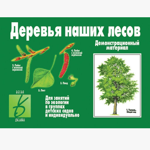 Игра "Деревья наших лесов"
