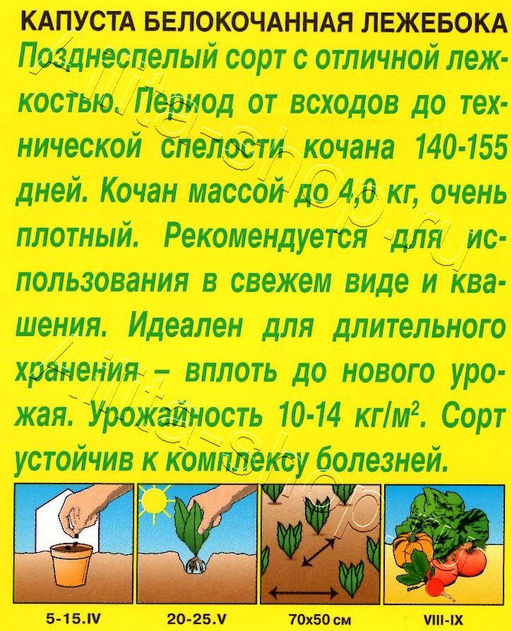 Капуста б/к Лежебока 0,3г (Аэлита)