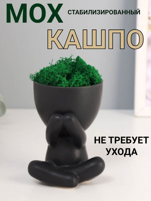 Стабилизированный мох в кашпо из керамики Мистер Грин любитель тишины, 107.58 см, чёрный