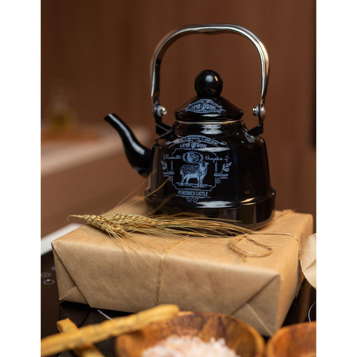 VETTA Чайник эмалир. 2,5 л, Ранчо индукция арт. 894-485