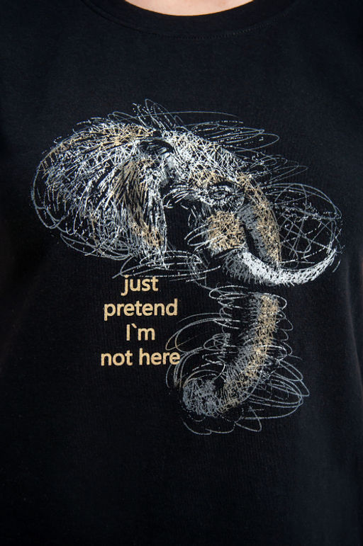 Арт. 3746 Футболка женская 42-50 (5 шт) Цвет:черный - Калинка фото 22