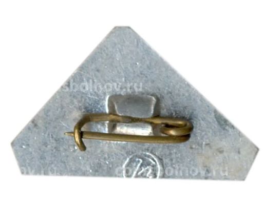 Значок Молдавия