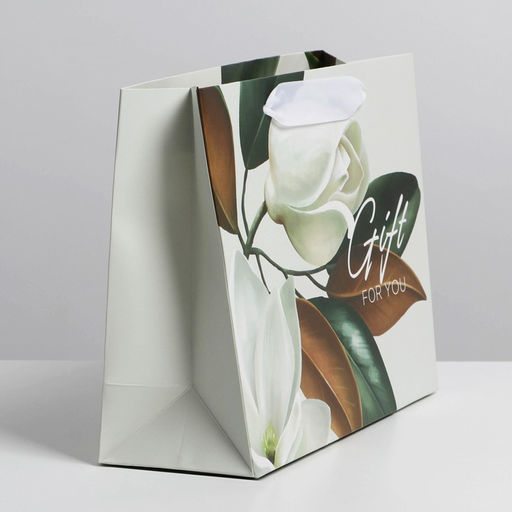 Цена за 2 шт. Пакет подарочный ламинированный, упаковка, Подарок 22?17.5?8 см