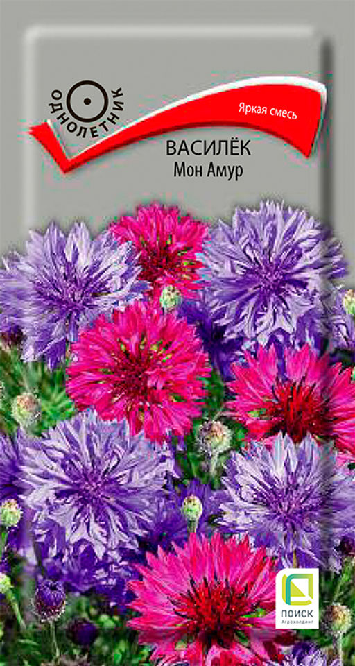 Василёк Мон Амур (ЦВ) ("1) 1гр.