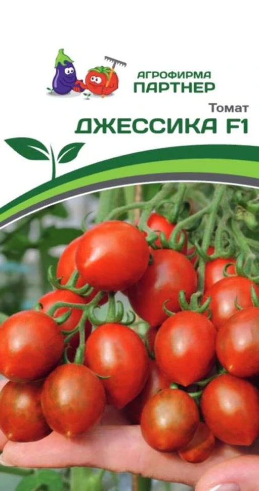 Томат Джессика