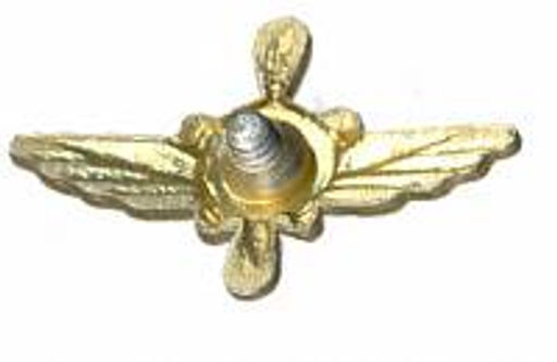 Значок Эмблема Военно-воздушные силы техник