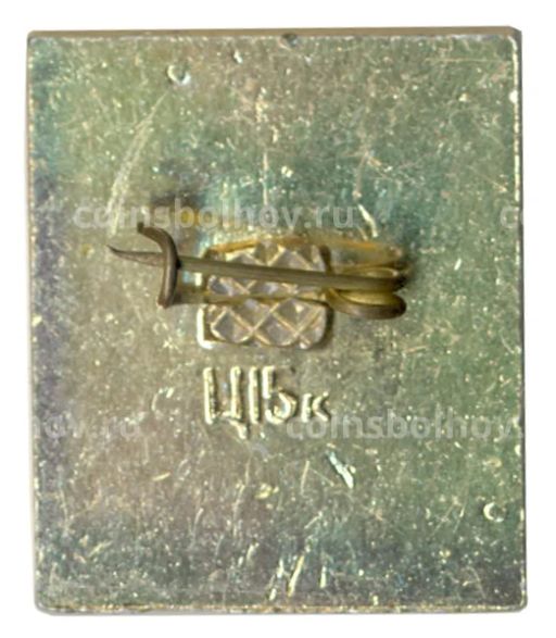 Значок Киев