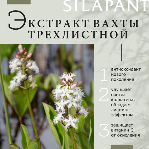Силапант Сыворотка Лифтинг-концентрат