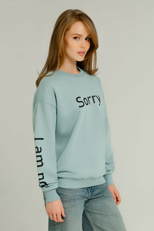 Арт. 15104 Свитшот женский 44-52 (5 шт) Цвет:мята