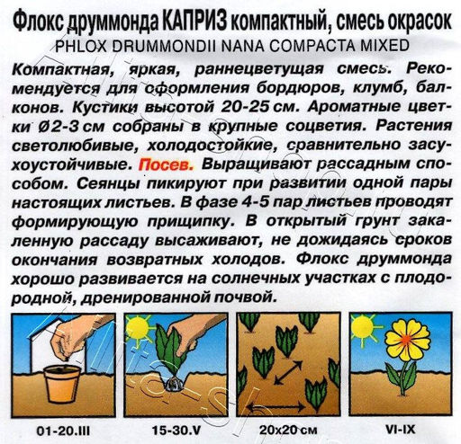 Флокс Каприз, смесь 0,2г (Аэлита)