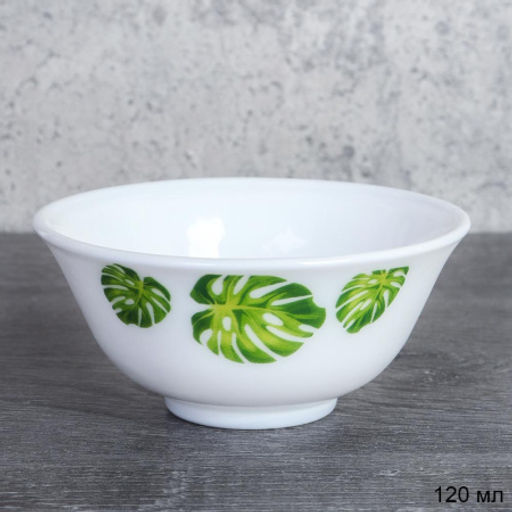 Розетка 120 мл / 36/LHP-FW4 (7242) /уп 2/ Монстера