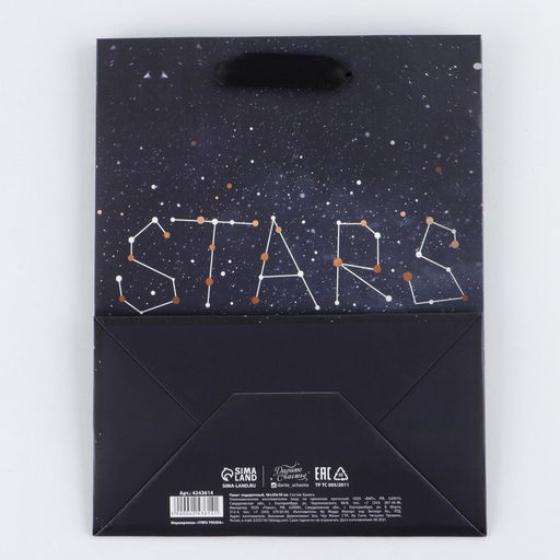 Пакет подарочный, упаковка, «Stars», MS 23 x 18 х 10 см