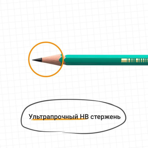 Цена за 2 шт. Набор карандашей чернографитных 3 штуки BIC «Evolution», НВ, пластиковый, с ластиком