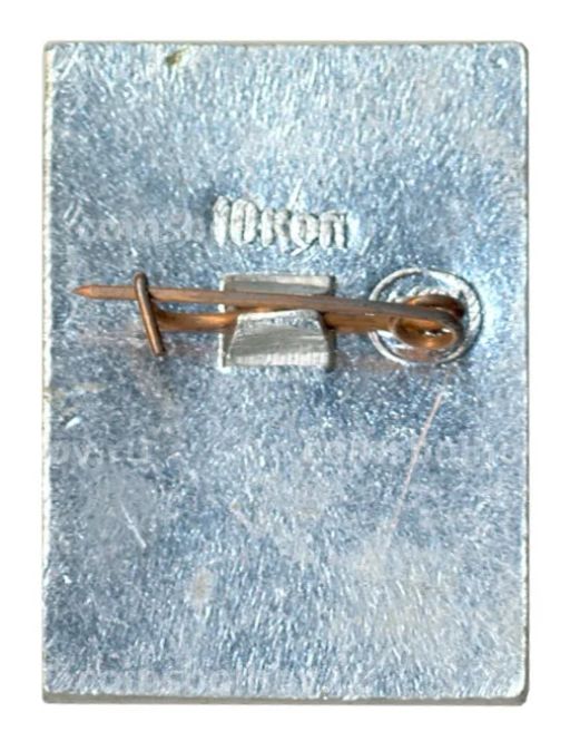 Значок Суздаль Воскресенский собор