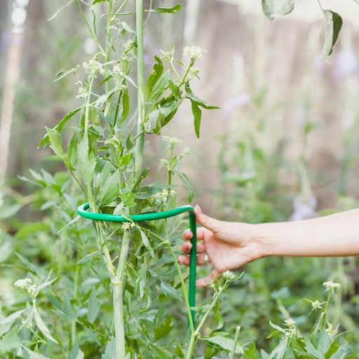 Цена за 2 шт. Кустодержатель для цветов, d=20 (5) см, h=120 см, ножка d=1 см, металл, зелёный - Simaland фото 3