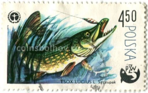 Марка Щука 1979 год Польша
