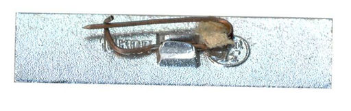 Значок М.Горький  100 лет со дня рождения