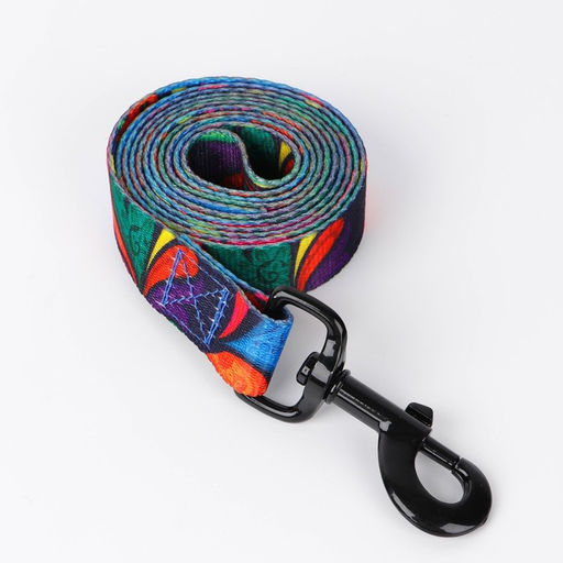 Поводок Невозможно слиться с улицей, 2.5 см, 1.5 м - Пушистое счастье фото 4