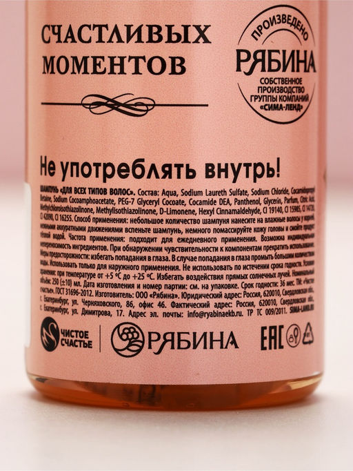 Цена за 2 шт. Шампунь для волос во флаконе шампанское «Ты лучше всех», 250 мл, Чистое счастье