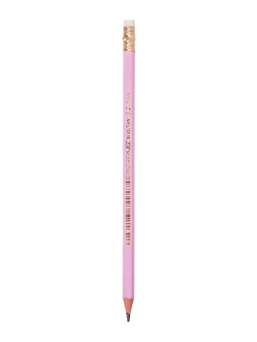 Карандаши чернографитные BIC HB Evolution «Пастель», набор 5 штук, пластиковые, с ластиками
