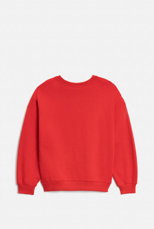 ACOOLA / Джемпер детский для мальчиков Gryla красный  фото 4