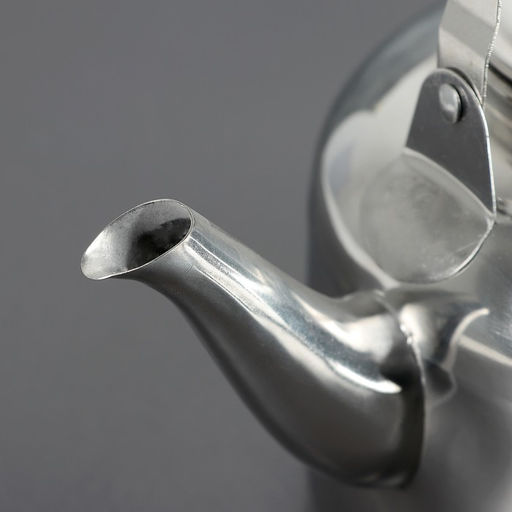 Чайник из нержавеющей стали «Вдохновение», 2,5 л