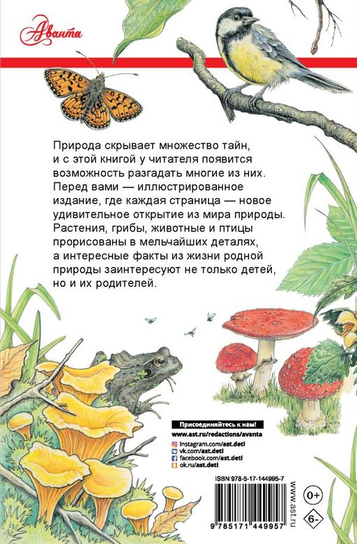 Секреты родной природы. Дневник маленьких открытий на каждый день - Аст фото 2