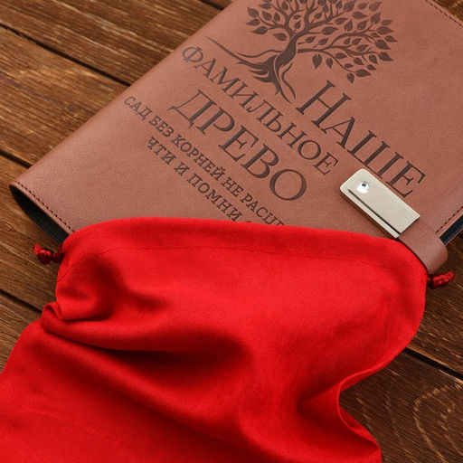 Родословная книга со встроенной флешкой 16 Gb «Наше фамильное дерево», 17.5×23 см.