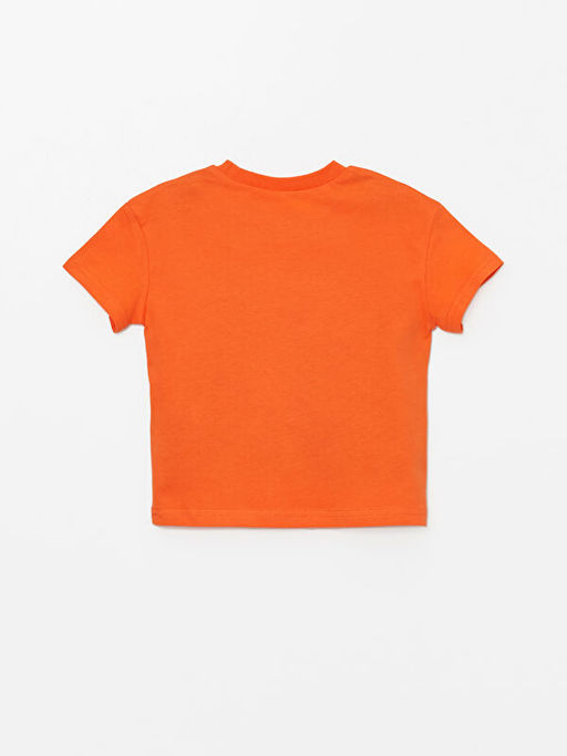 Bisiklet Yaka K?sa Kollu Erkek Bebek Ti??rt - Waikiki фото 2