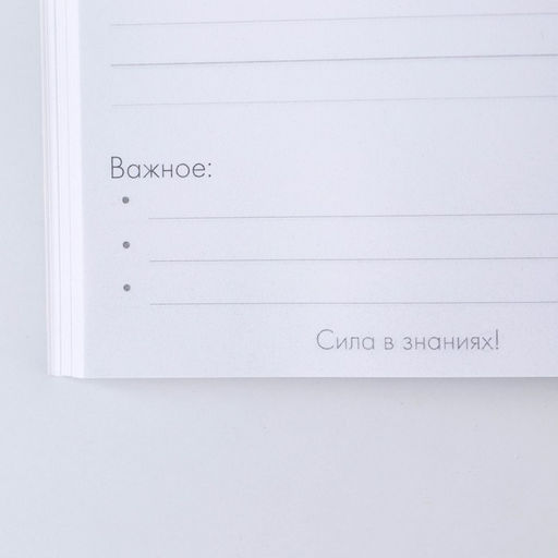 Подарочный набор, ежедневник, ручки 2 шт. шариковые, 1 мм, синяя, красная паста «Учителю»