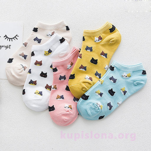 Носки Multicolored cats