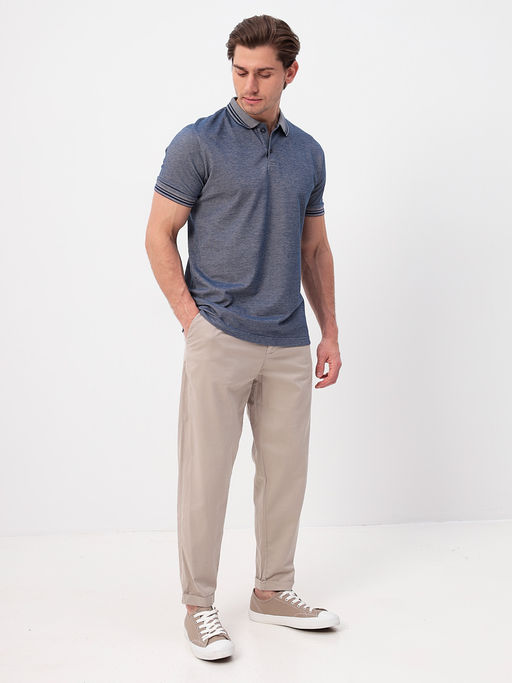 Джемпер мужской с воротником поло короткий рукав GREG G144V-PH4-OZ5 (коричневый)  фото 3