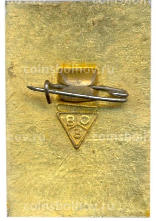 Значок Владимир