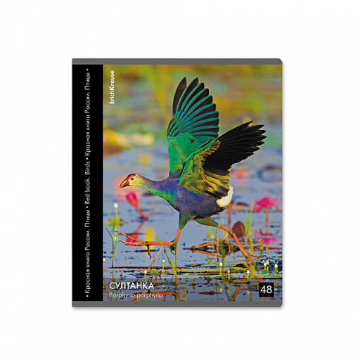 Цена за 5 шт. Тетрадь общая ученическая ErichKrause Энциклопедия, Красная книга России. Птицы, 48 листов, клетка, глянцевая ламинация_MIX-PACK  фото 6