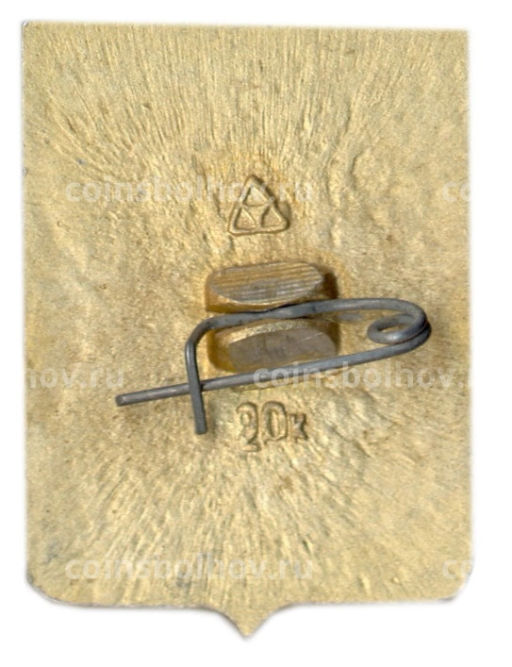 Значок Судогда