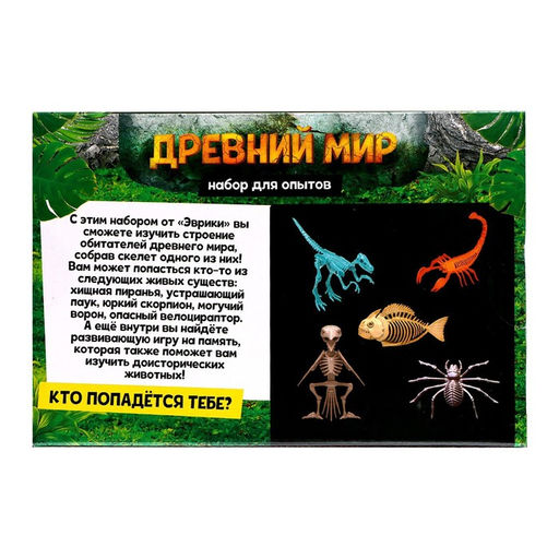 Набор для опытов Древний мир, МИКС - Эврики фото 14