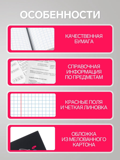 Цена за 10 шт. Предметная тетрадь по русскому языку Calligrata «Мрамор светлый», 48 листов, в линейку, со справочным материалом, обложка из мелованного картона
