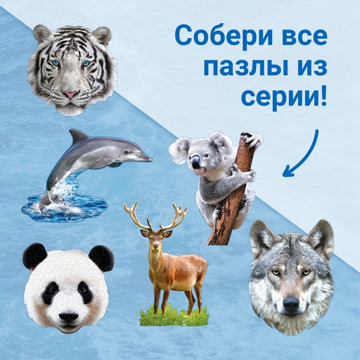 Пазл фигурный «Красивый дельфин», 100 деталей