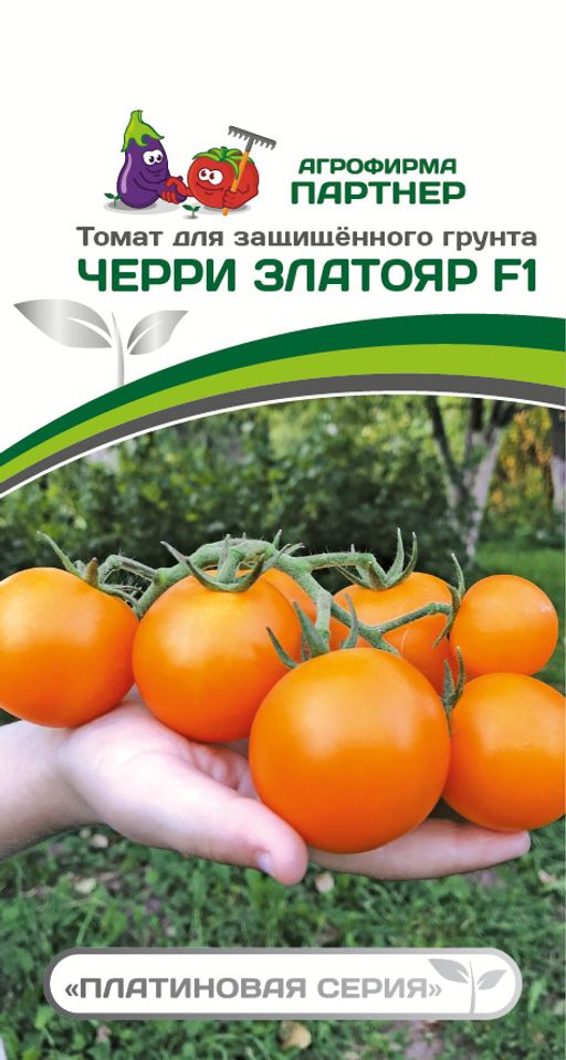 Томат Черри Златояр