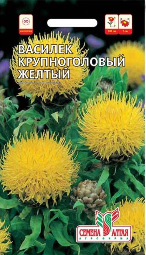 Василек Желтый Крупноголовый/Сем Алт/цп 0,3 гр. многолетник