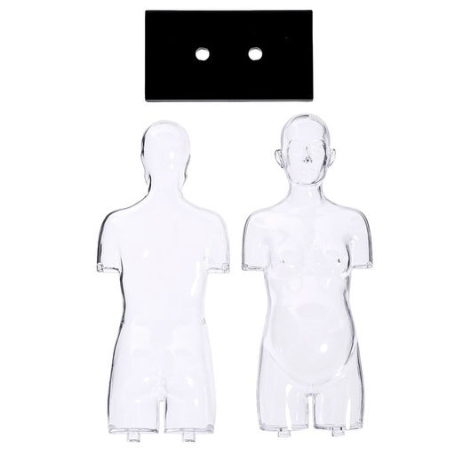 Набор для опытов Строение тела, беременная женщина - Эврики фото 9