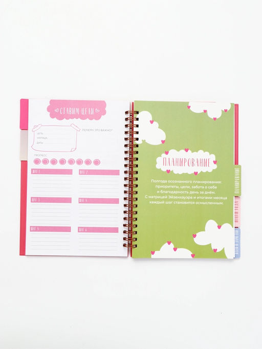 Ежедневник-планер с разделителями