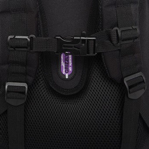 RAz-586-7 Рюкзак школьный - Grizzly фото 9